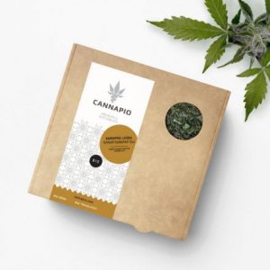 Konopná láska – sypaný konopný čaj Cannapio