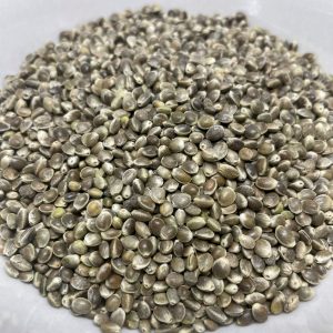 Herbalus Konopné semínko neloupané 250g