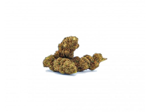 CBD Konopný květ Lemon Haze Váha: 1 g