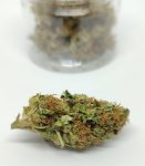 CBD konopí  Sour Diesel Hmotnost: 10g