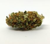 CBD konopí  Sour Diesel Hmotnost: 10g