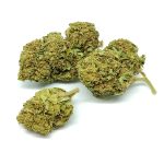 CBD konopí Harlequin Hmotnost: 5g