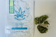 Recenze CBD konopí – HERBALUS TEA BREAK