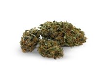 Herbalus CBD konopí – ENDORFIN [ 1g ]