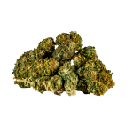 Herbalus CBD konopí – HERBALUS TEA BREAK [ 1g ]
